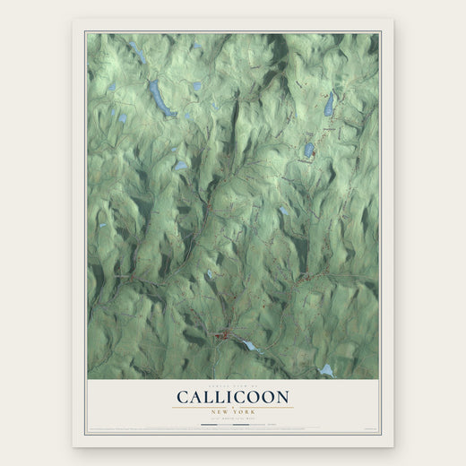Callicoon, New York map print, the full design