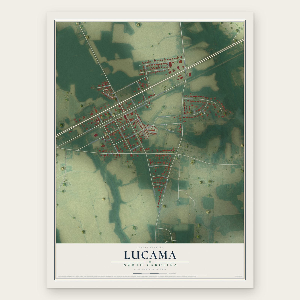 Lucama, North Carolina map print, the full design