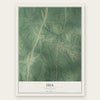 Ida, Louisiana map print, the full design