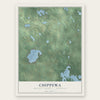 Chippewa, Mecosta County, Michigan map print, the full design