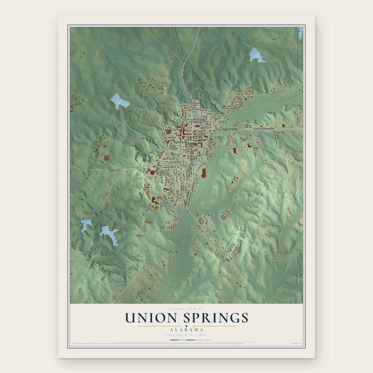 Union Springs, Alabama map print, the full design