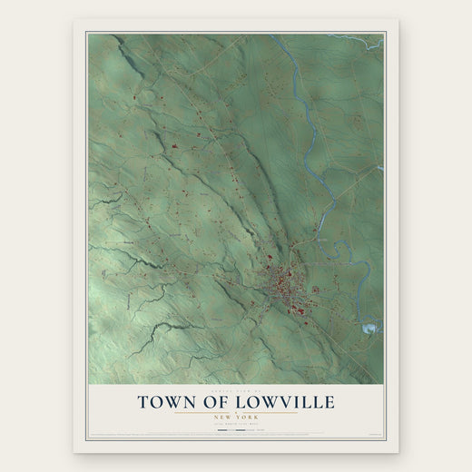 Town of Lowville, New York map print, the full design