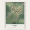 Oneida, Illinois map print, the full design