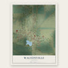 Waltonville, Illinois map print, the full design