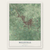 Belleville, Illinois map print, the full design