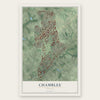 Chamblee, Georgia map print, the full design