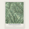 North Bethlehem, Pennsylvania map print, the full design