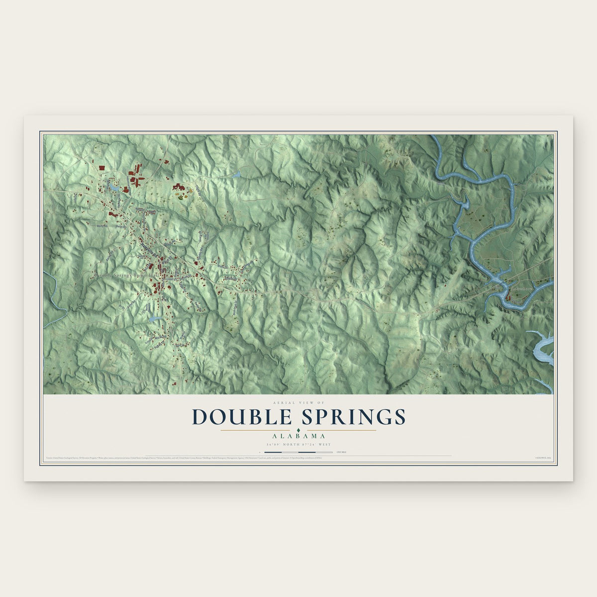 Double Springs, Alabama map print, the full design