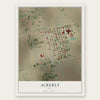 Ackerly, Texas map print, the full design
