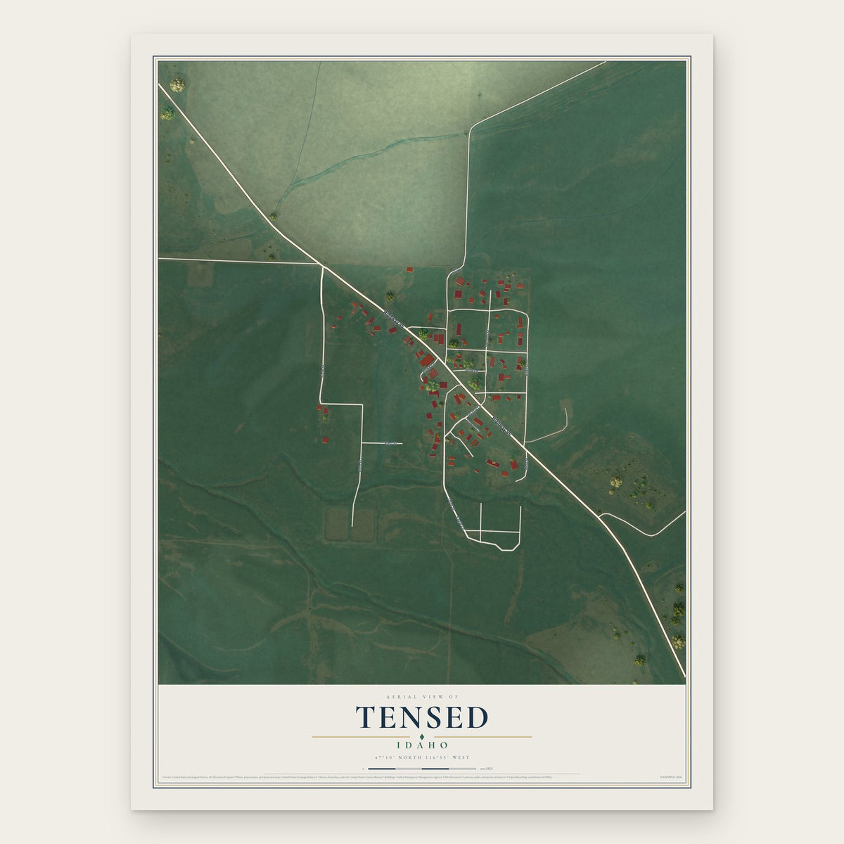 Tensed, Idaho map print, the full design