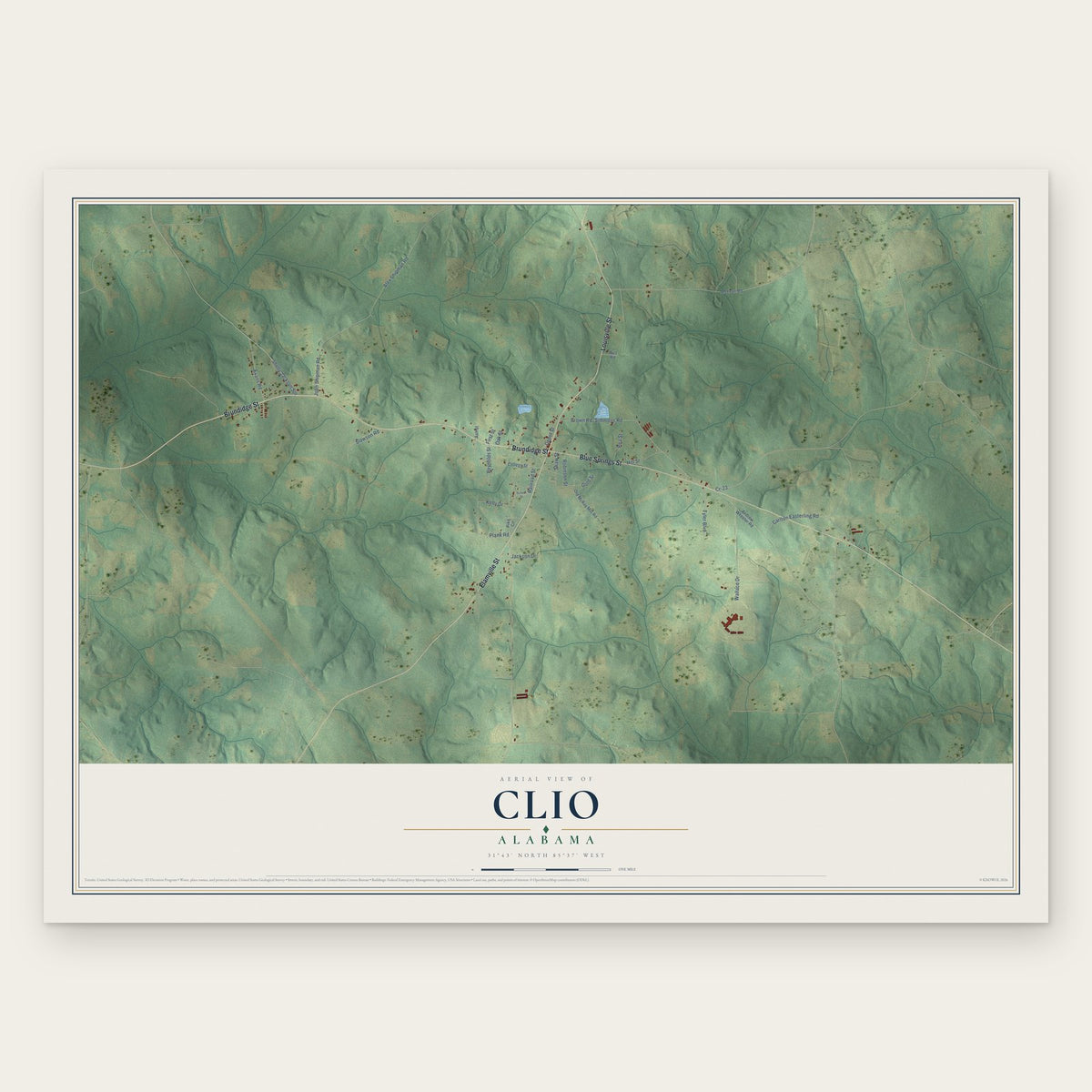 Clio, Alabama map print, the full design