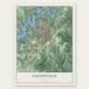 Gainesville, Georgia map print, the full design