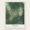 Atkinson, North Carolina map print, the full design