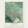 Carbonado, Washington map print, the full design