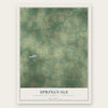 Springvale, Fond du Lac County, Wisconsin map print, the full design