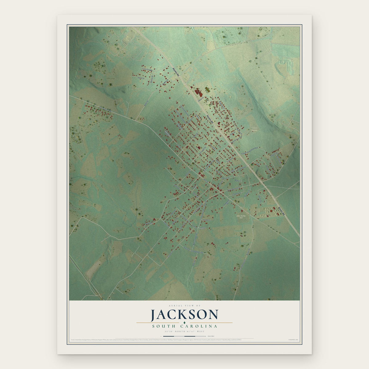 Jackson, South Carolina map print, the full design