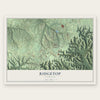 Ridgetop, Tennessee map print, the full design