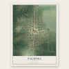 Palmyra, Illinois map print, the full design