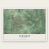 Newberry, South Carolina map print, the full design
