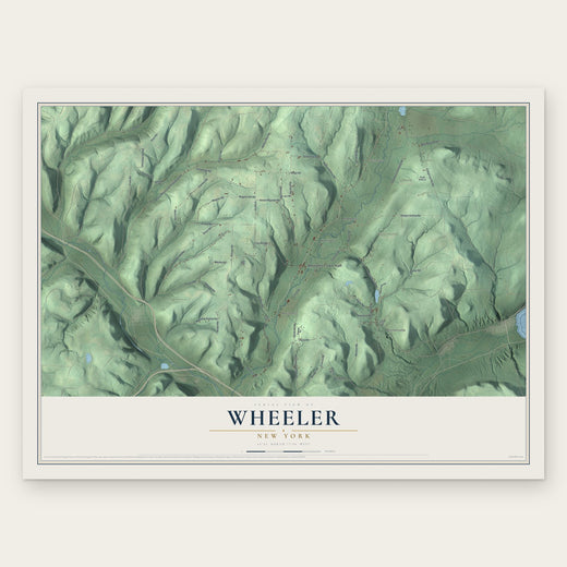 Wheeler, New York map print, the full design