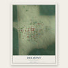 Delmont, South Dakota map print, the full design