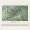 Lexington, South Carolina map print, the full design