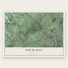 White Pine, Tennessee map print, the full design