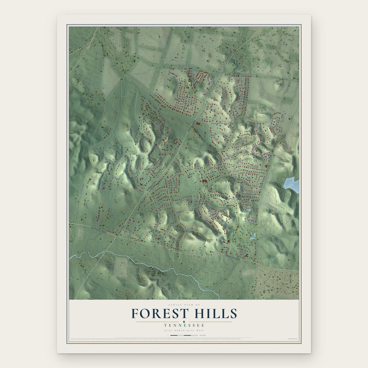 Forest Hills, Tennessee map print, the full design