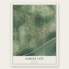 Forest City, Illinois map print, the full design