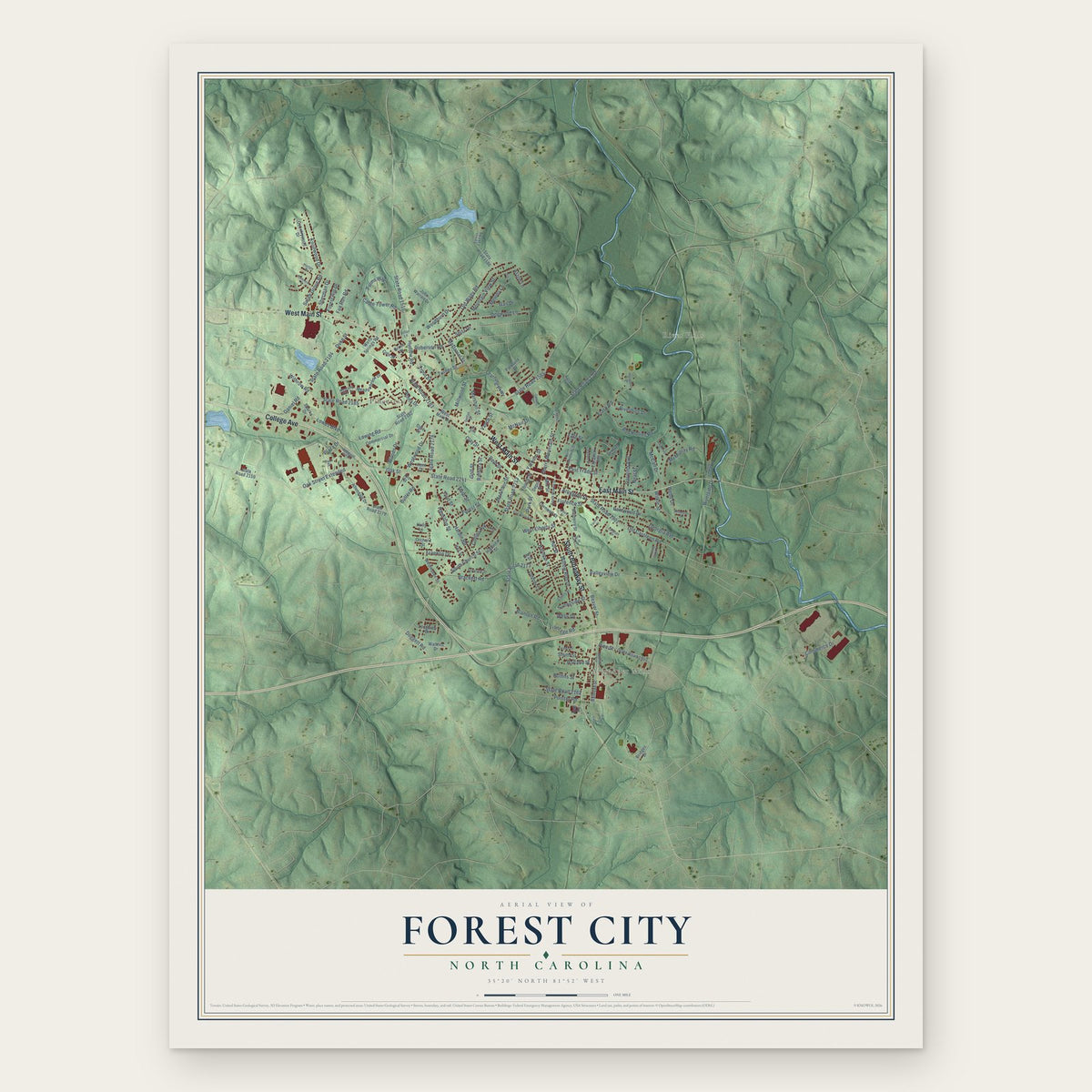 Forest City, North Carolina map print, the full design