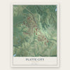 Platte City, Missouri map print, the full design