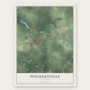 Pinckneyville, Illinois map print, the full design