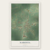 Nahunta, Georgia map print, the full design