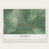 Leetonia, Ohio map print, the full design