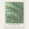 Town of Hillsboro, Wisconsin map print, the full design