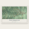Pilot Mountain, North Carolina map print, the full design