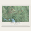 Pleasant Hill, Iowa map print, the full design