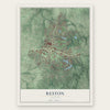 Reston, Virginia map print, the full design