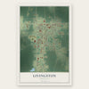 Livingston, Louisiana map print, the full design
