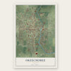 Okeechobee, Florida map print, the full design