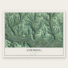 Chemung, New York map print, the full design