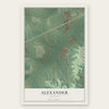 Alexander, Arkansas map print, the full design