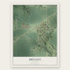 Bryant, Illinois map print, the full design