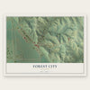 Forest City, Missouri map print, the full design