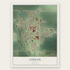 Colfax, Illinois map print, the full design