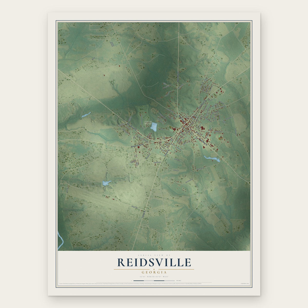 Reidsville, Georgia map print, the full design
