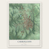 Carrollton, Ohio map print, the full design