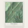 Pine Ridge, Alabama map print, the full design