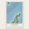 Leelanau, Michigan map print, the full design