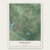 Pineville, Louisiana map print, the full design